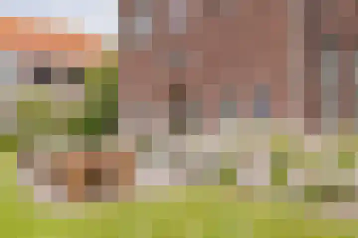 Ter Beek 26 Lisse thumbnail 53