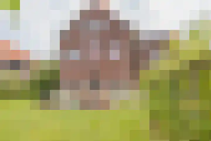 Ter Beek 26 Lisse thumbnail 54