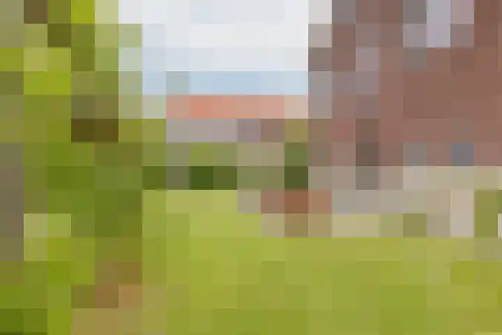 Ter Beek 26 Lisse thumbnail 55