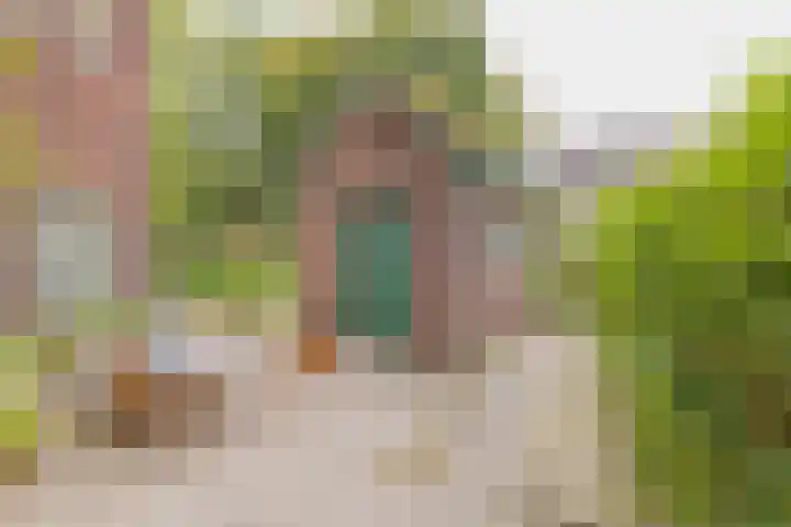 Ter Beek 26 Lisse thumbnail 57
