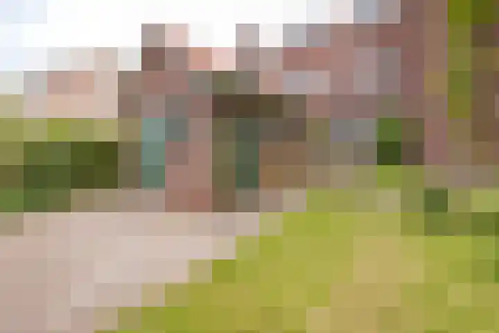 Ter Beek 26 Lisse thumbnail 58