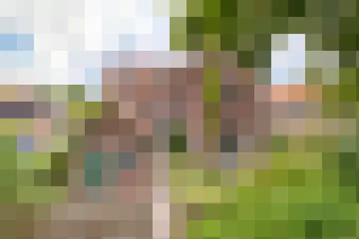 Ter Beek 26 Lisse thumbnail 59