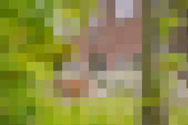 Ter Beek 26 Lisse thumbnail 60
