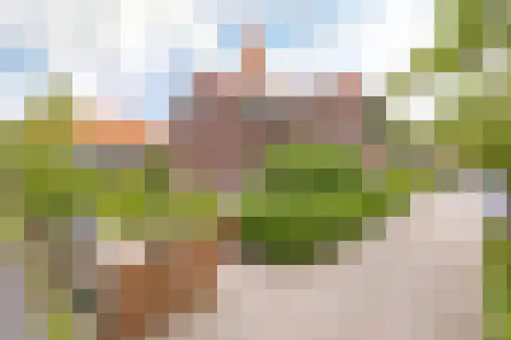 Ter Beek 26 Lisse thumbnail 61