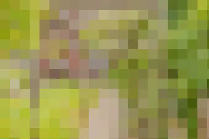 Ter Beek 26 Lisse thumbnail 62