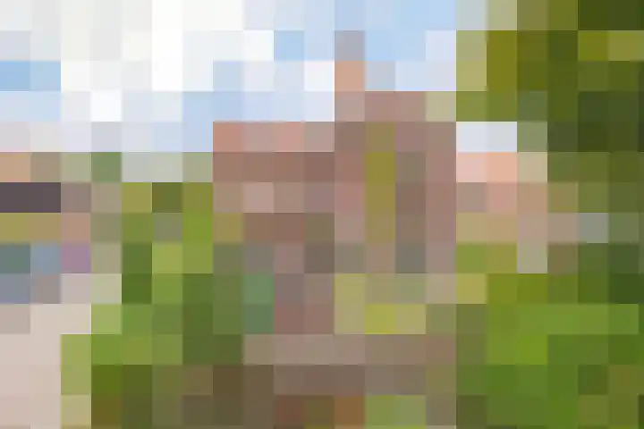 Ter Beek 26 Lisse thumbnail 68
