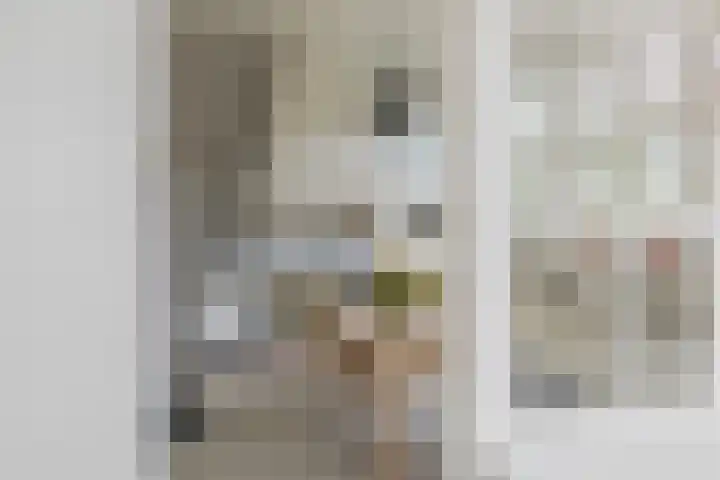 Ter Beek 26 Lisse thumbnail 9
