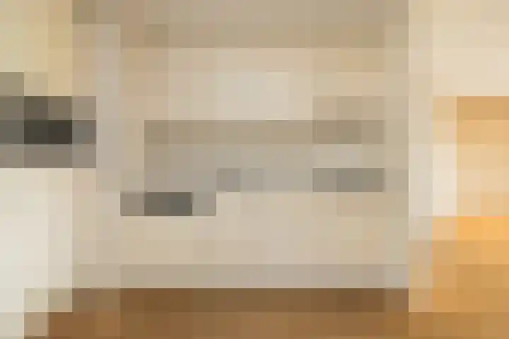 Ter Beek 6 Lisse thumbnail 11