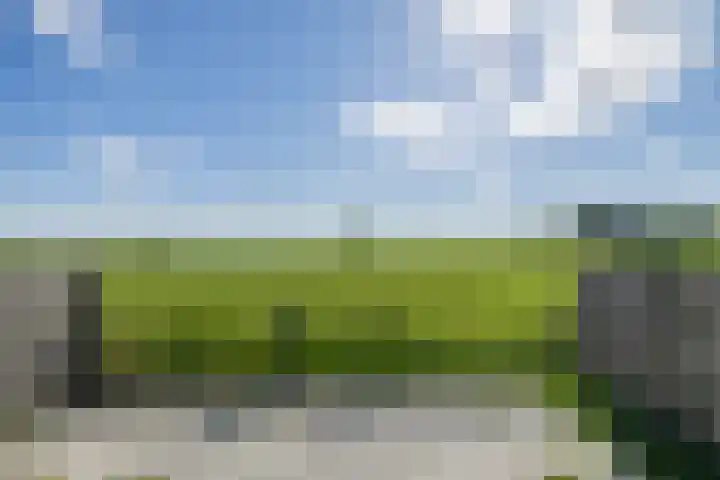 Ter Beek 6 Lisse thumbnail 18