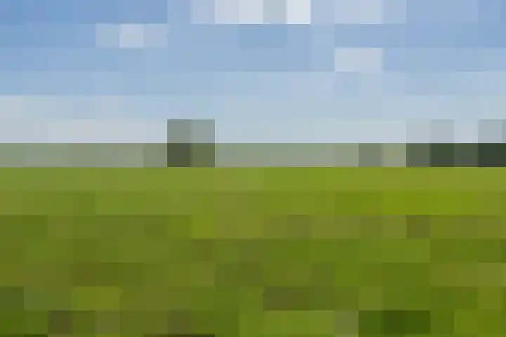 Ter Beek 6 Lisse thumbnail 19