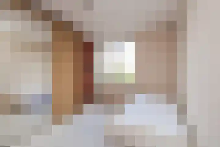 Ter Beek 6 Lisse thumbnail 33