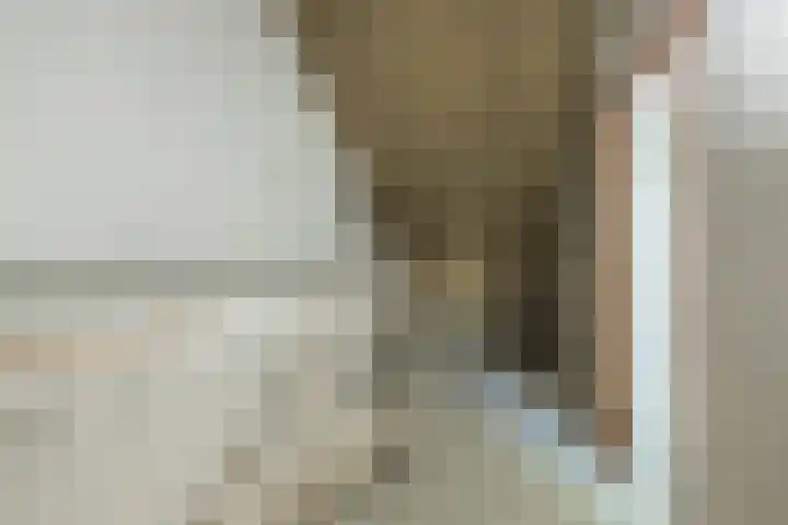 Ter Beek 6 Lisse thumbnail 37