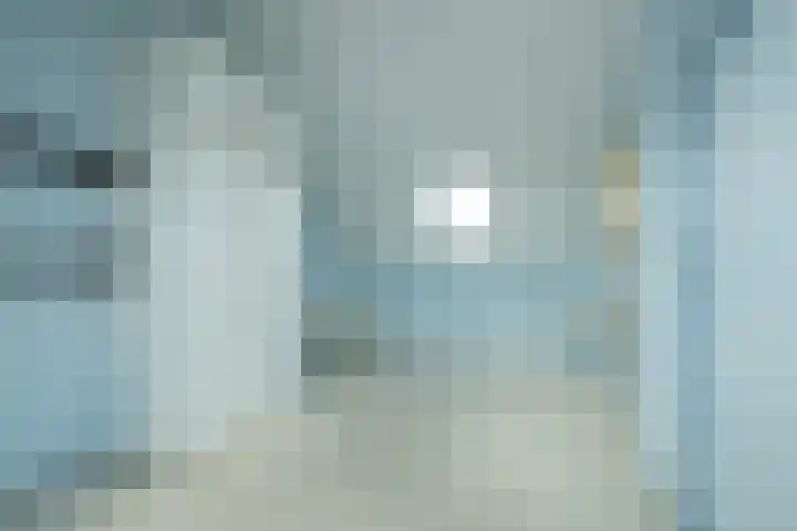 Ter Beek 6 Lisse thumbnail 38