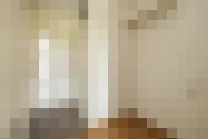 Ter Beek 6 Lisse thumbnail 42