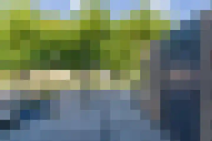 Ter Beek 6 Lisse thumbnail 44