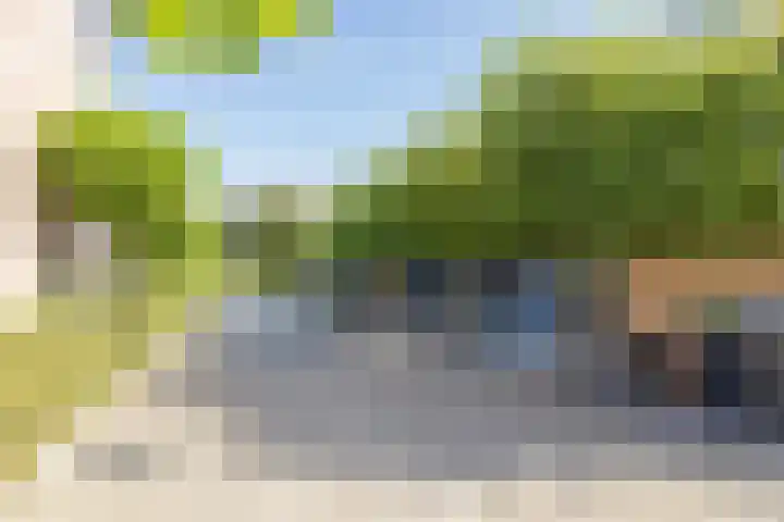 Ter Beek 6 Lisse thumbnail 47