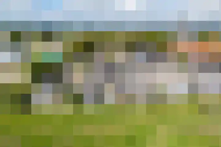 Ter Beek 6 Lisse thumbnail 53