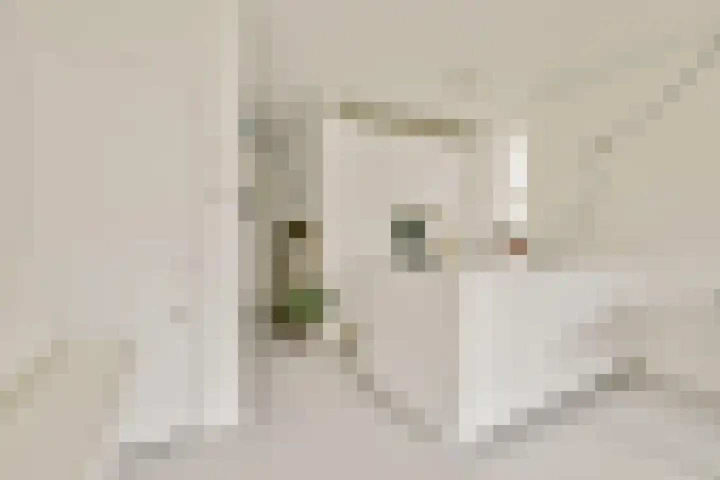 Ter Boede 1 2 Amsterdam thumbnail 11