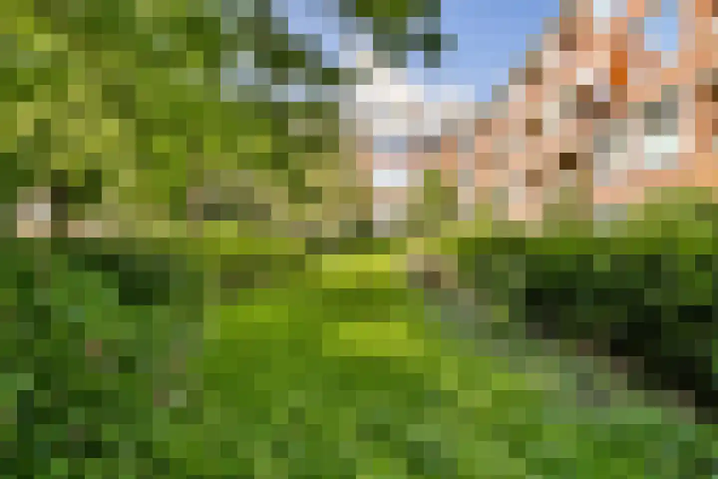 Ter Boede 3 3 Amsterdam thumbnail 14