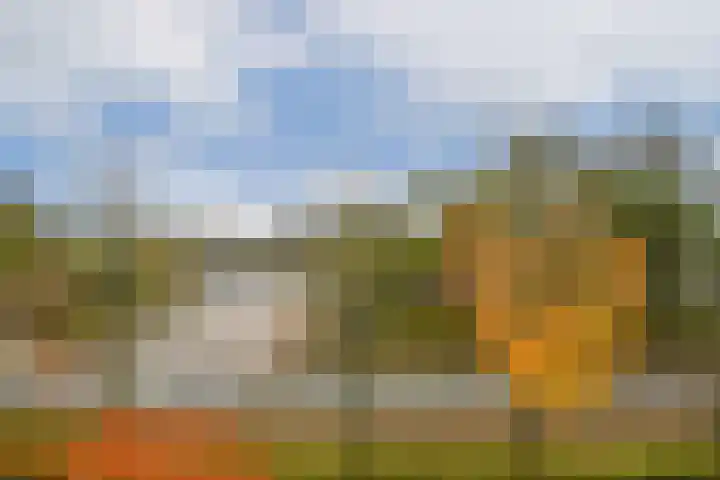 Ter Boede 5 H Amsterdam thumbnail 18