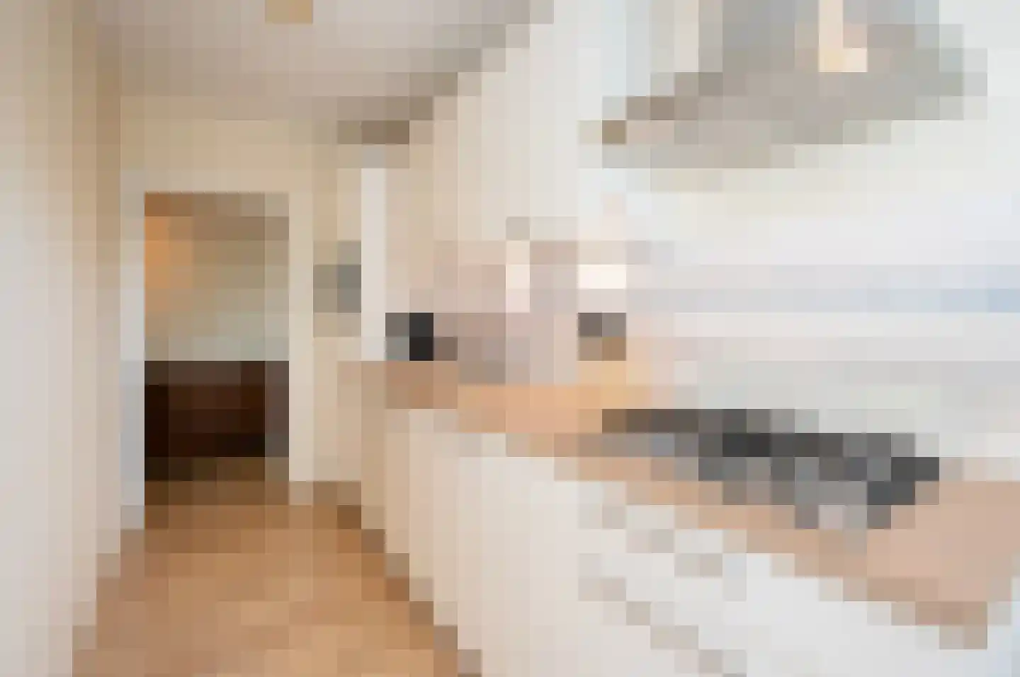 Ter Boede 8 3 Amsterdam thumbnail 12
