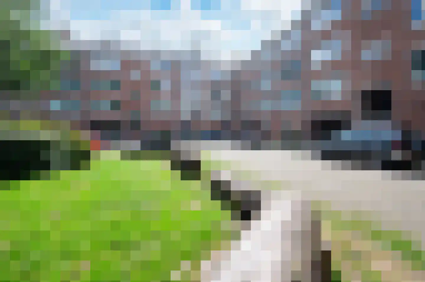 Ter Boede 8 3 Amsterdam thumbnail 23