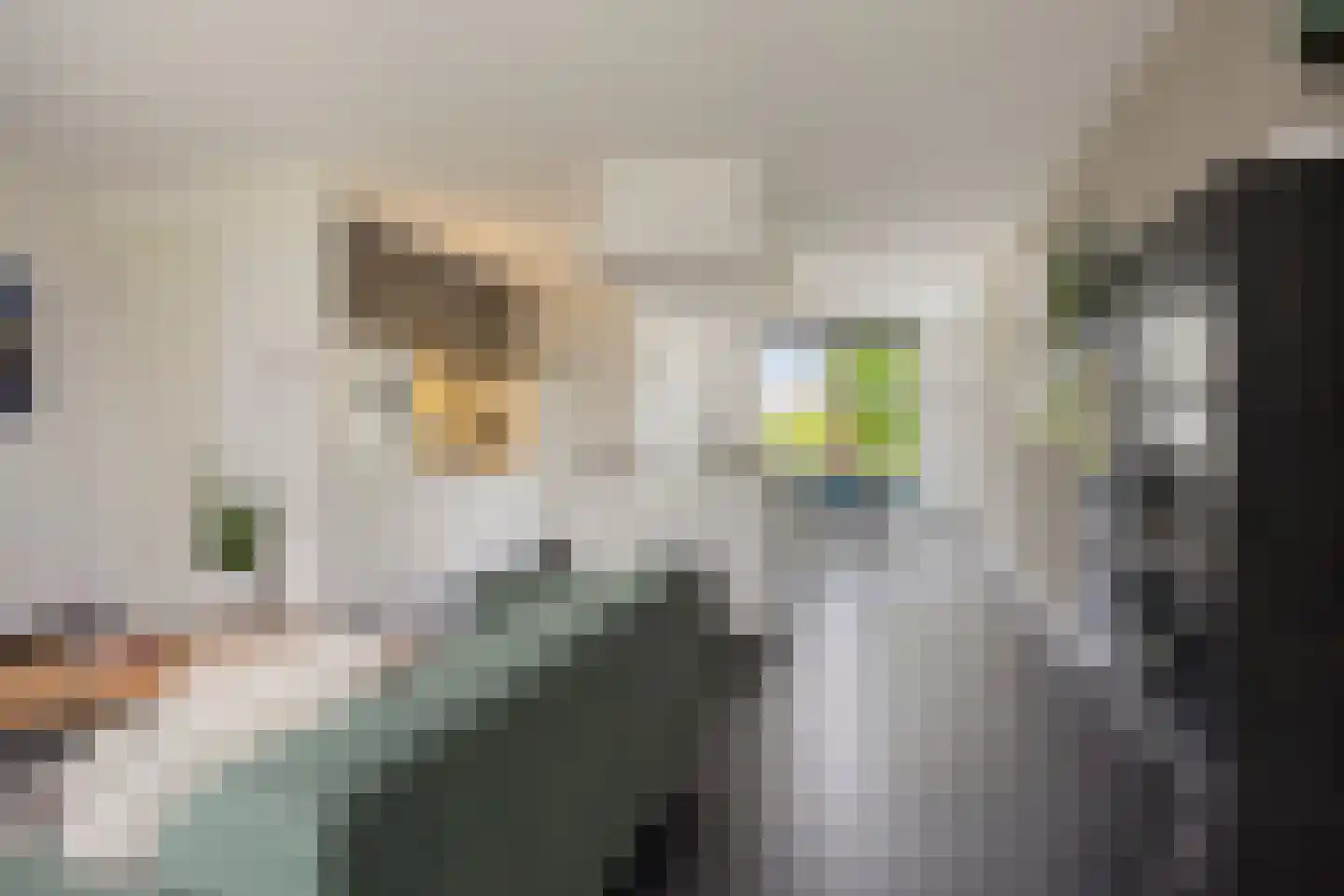 Ter Boort 15 Beek en Donk thumbnail 14