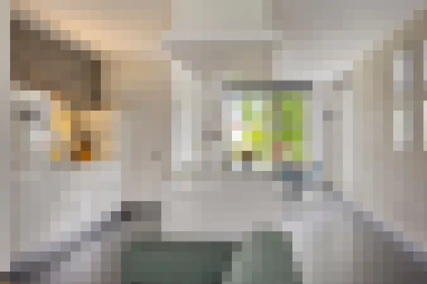 Ter Boort 15 Beek en Donk thumbnail 15