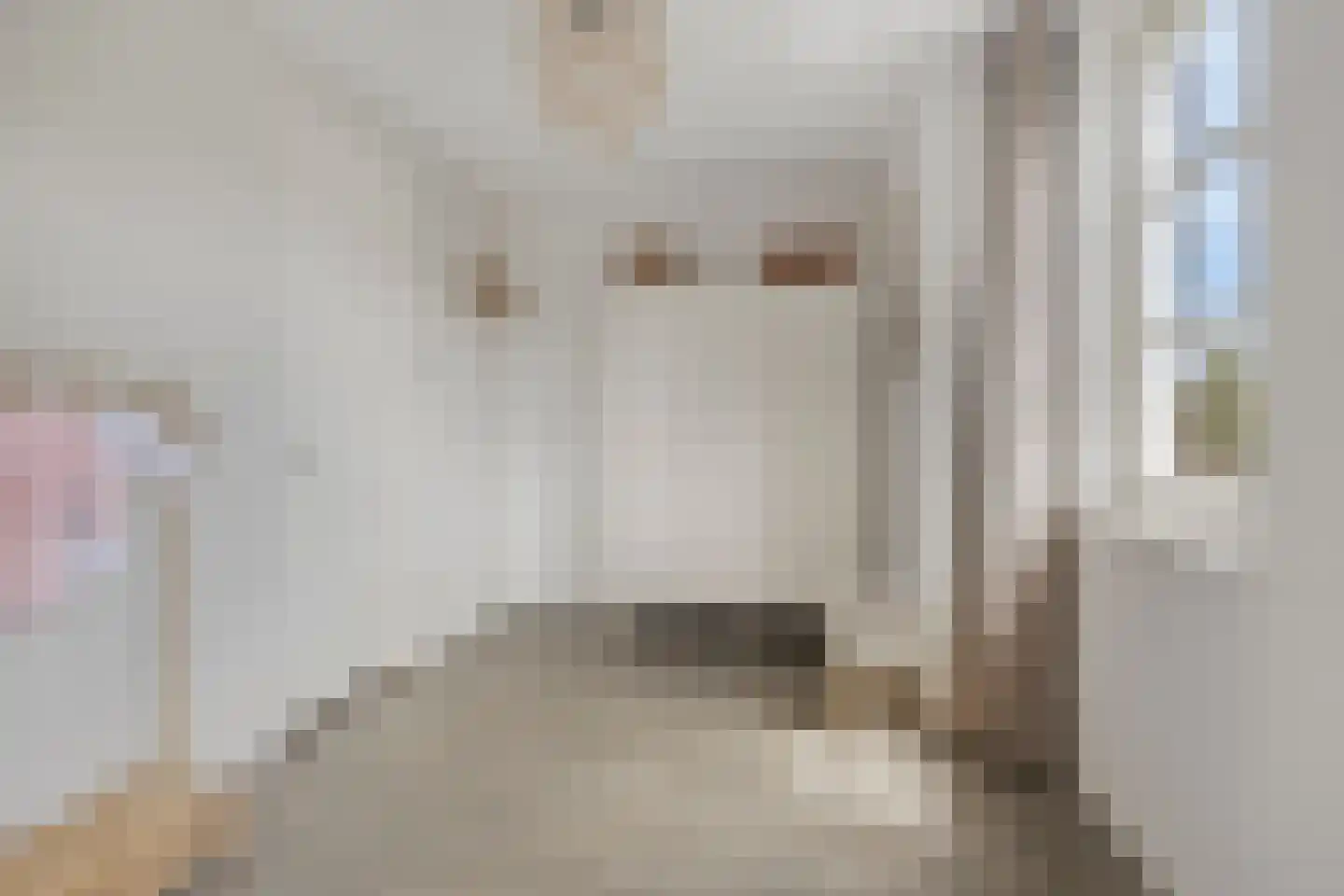 Ter Boort 15 Beek en Donk thumbnail 26