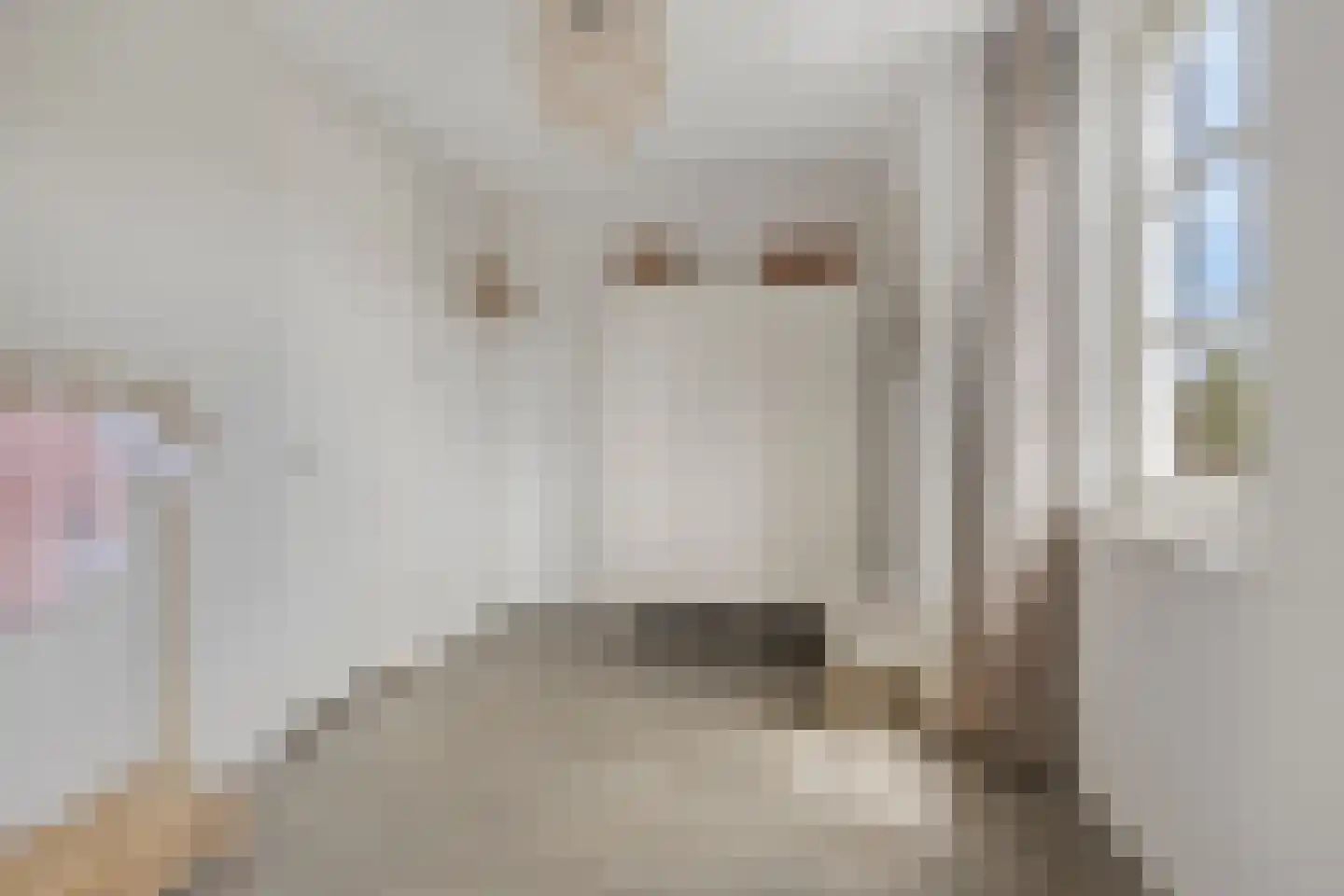 Ter Boort 15 Beek en Donk thumbnail 28