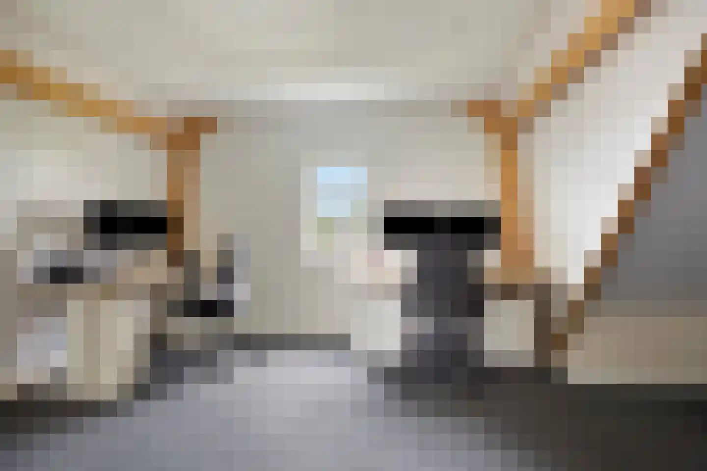 Ter Boort 15 Beek en Donk thumbnail 33
