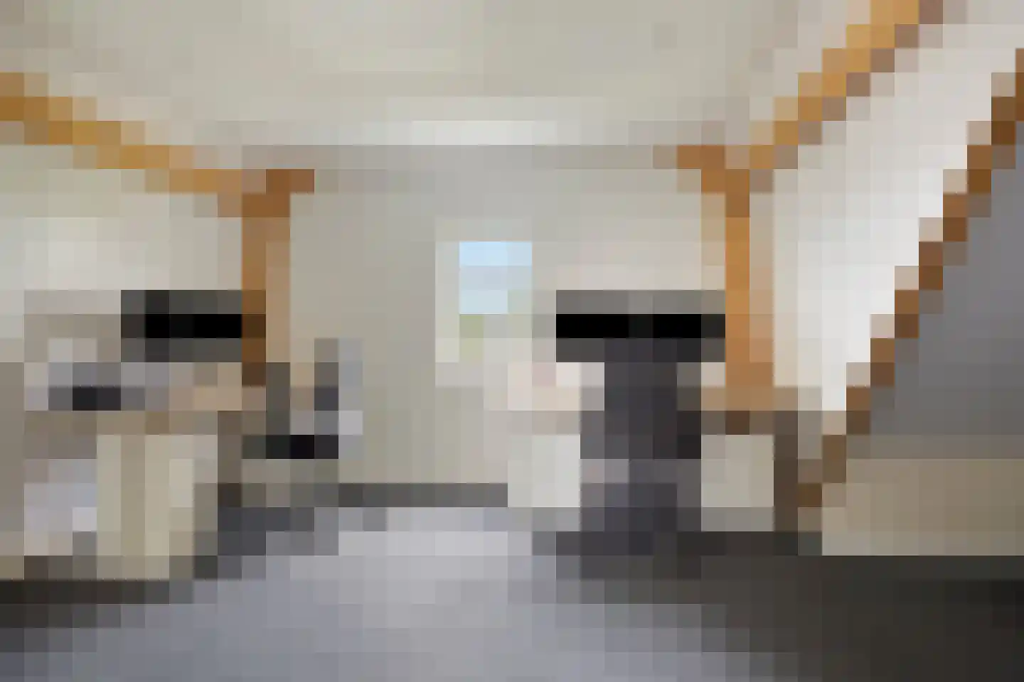 Ter Boort 15 Beek en Donk thumbnail 35