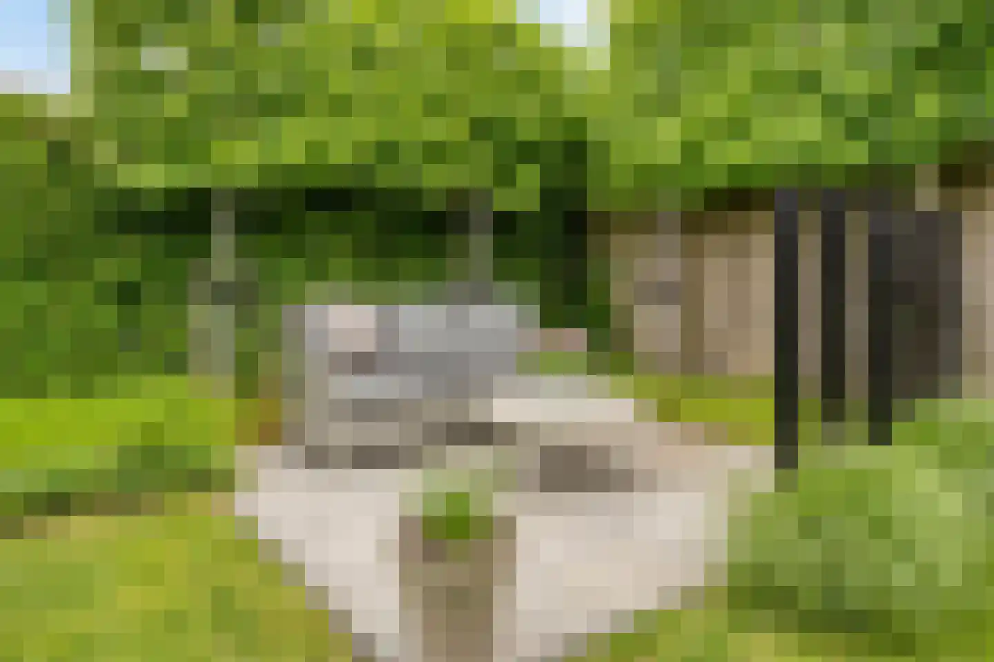 Ter Boort 15 Beek en Donk thumbnail 41