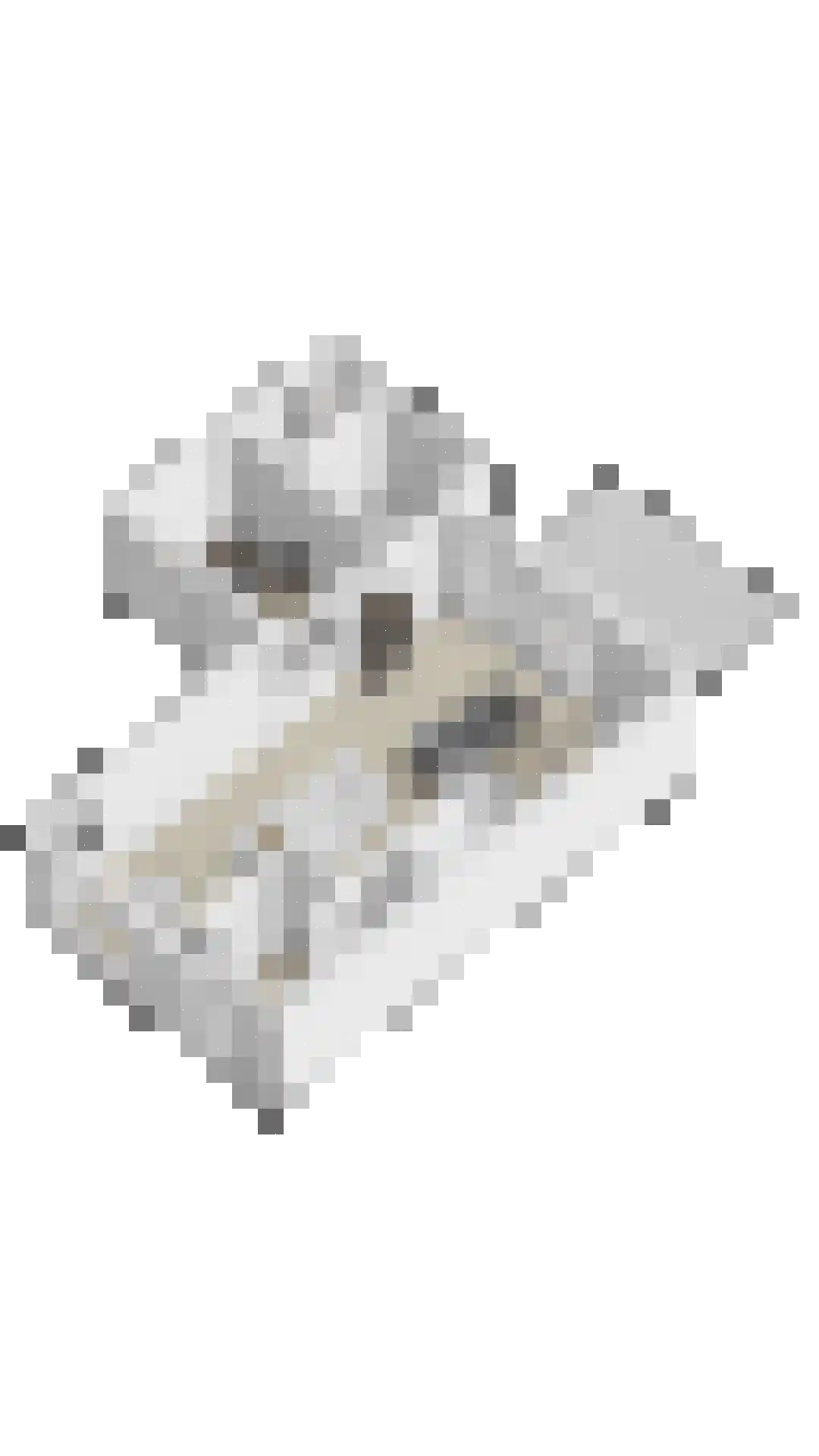 Ter Boort 15 Beek en Donk thumbnail 48