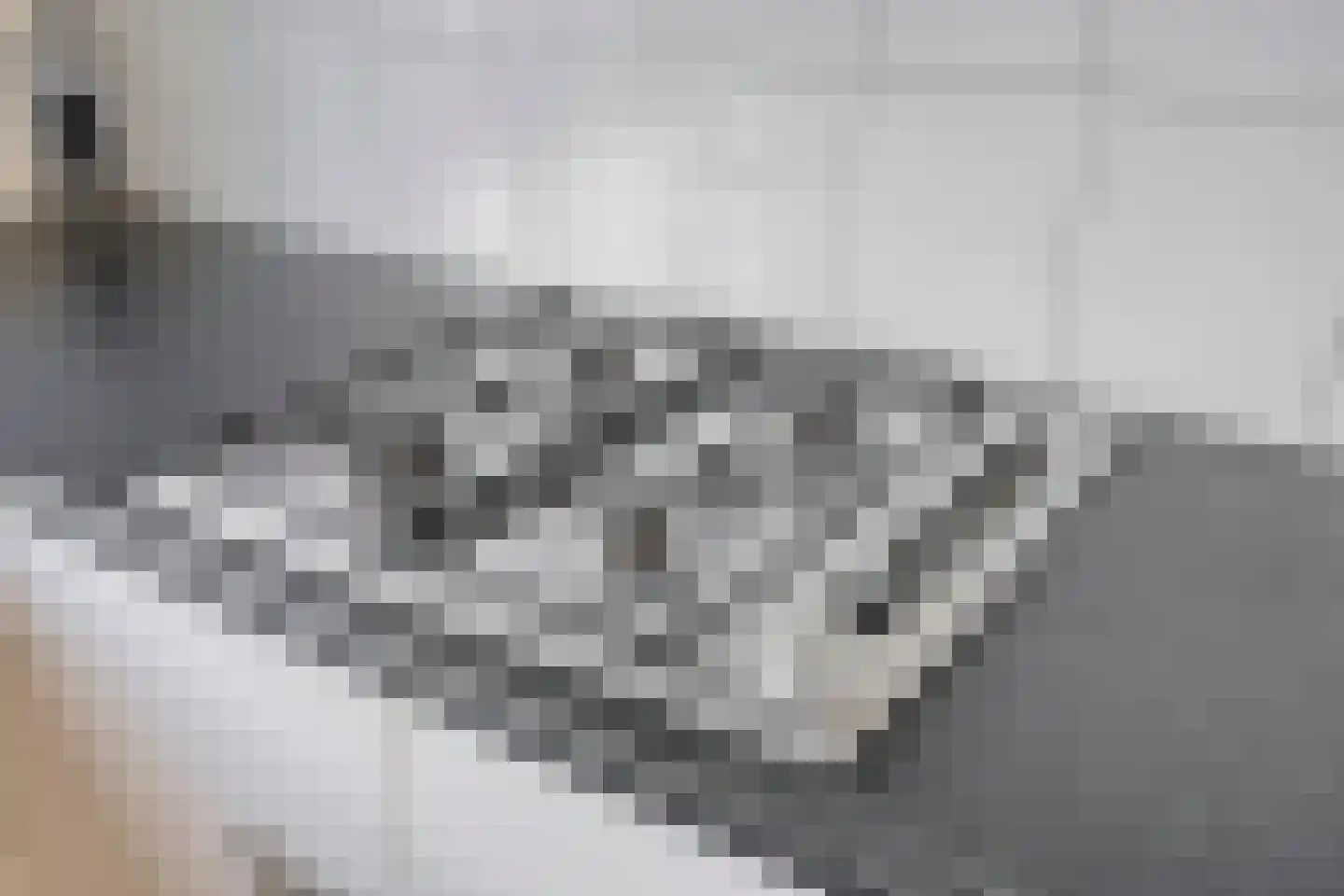 Ter Boort 21 Beek en Donk thumbnail 10