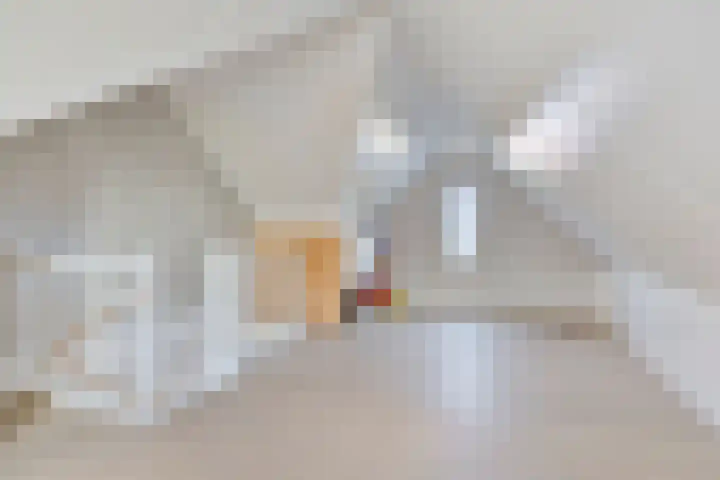 Ter Boort 21 Beek en Donk thumbnail 23