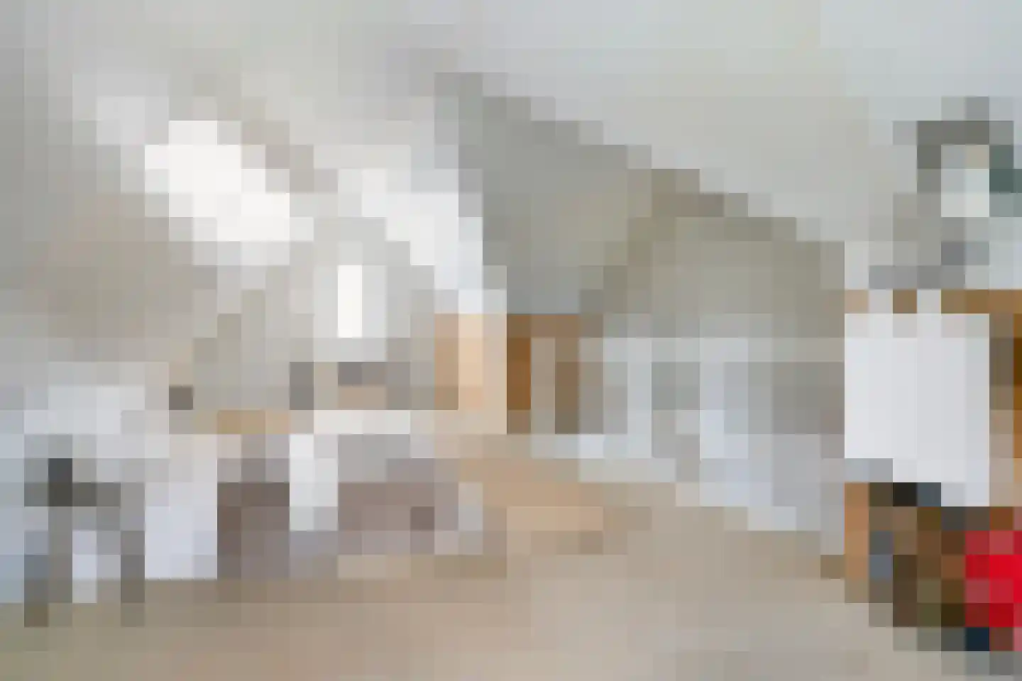 Ter Boort 21 Beek en Donk thumbnail 24