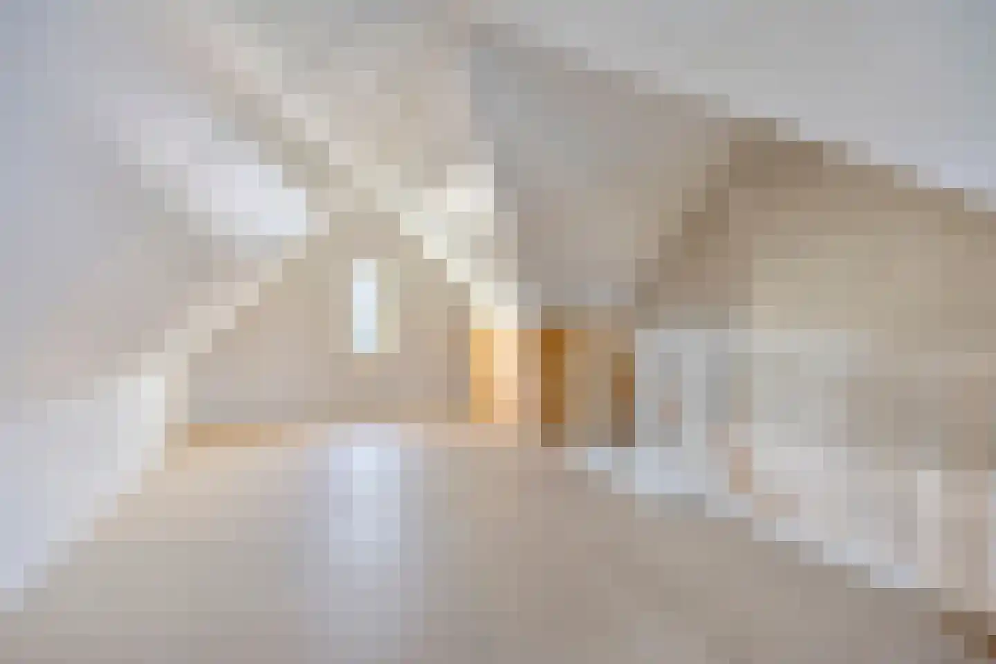Ter Boort 21 Beek en Donk thumbnail 25