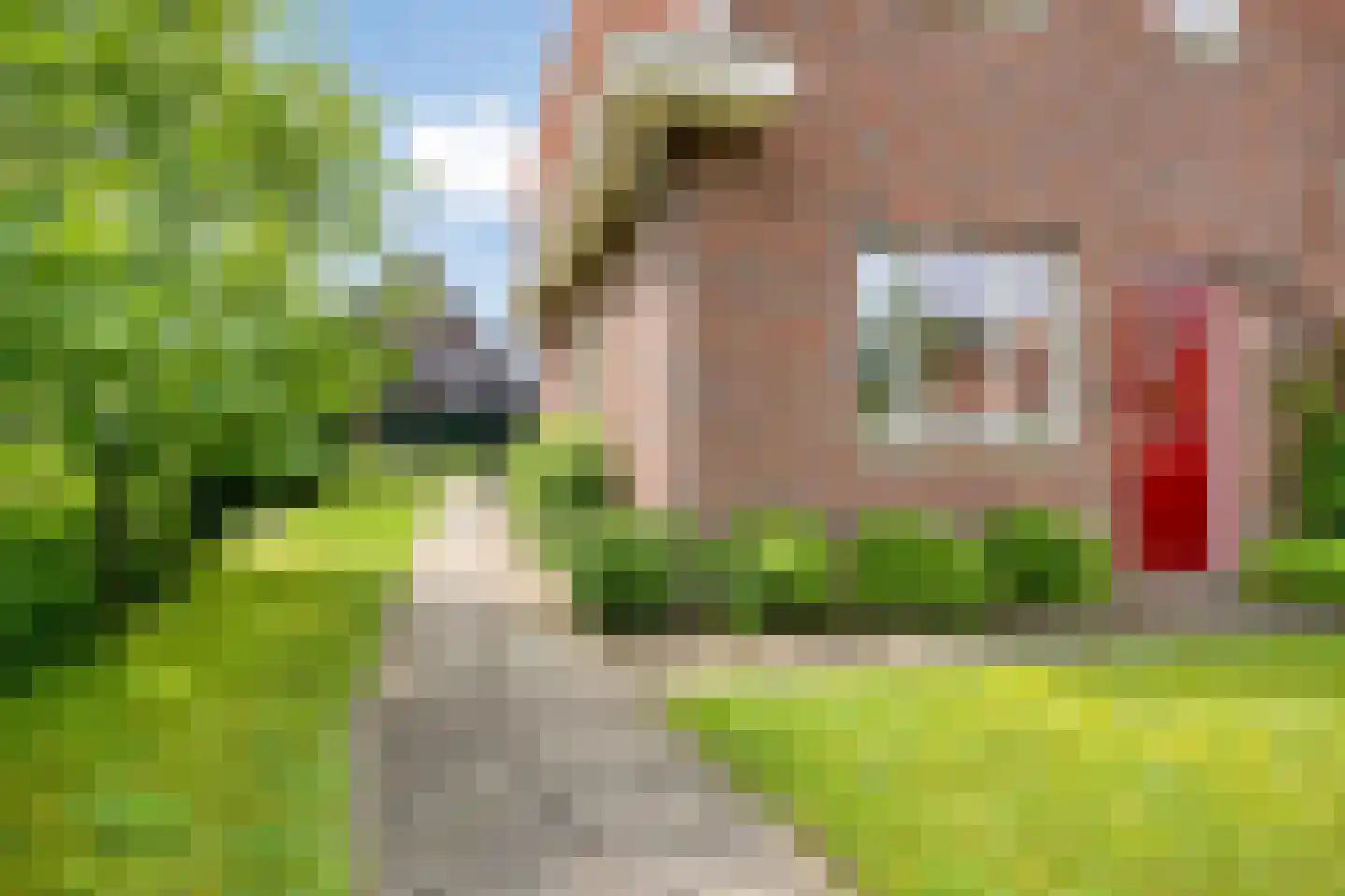Ter Boort 21 Beek en Donk thumbnail 27