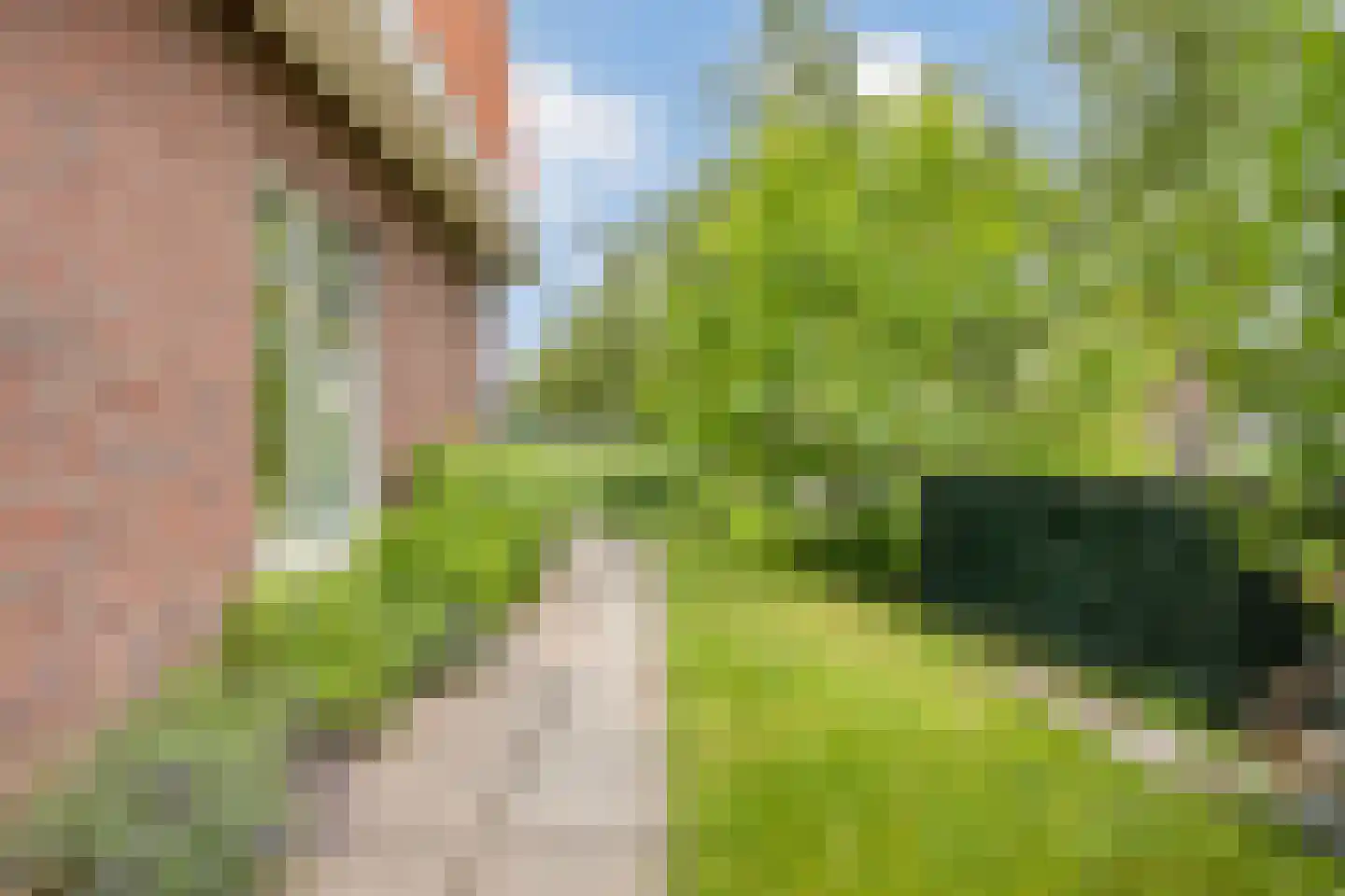 Ter Boort 21 Beek en Donk thumbnail 28