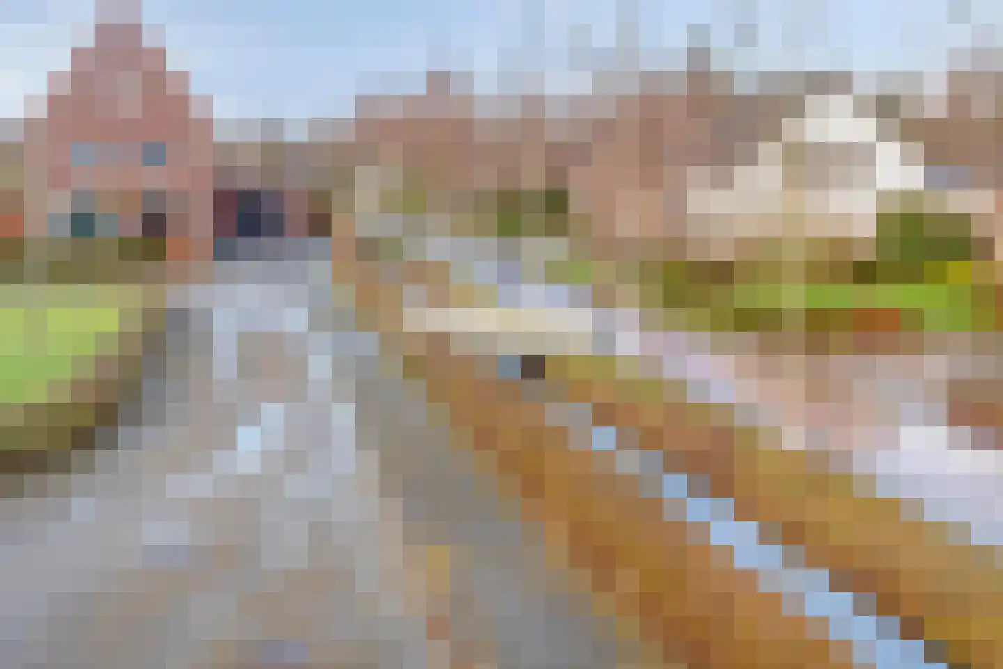 Ter Boort 21 Beek en Donk thumbnail 35