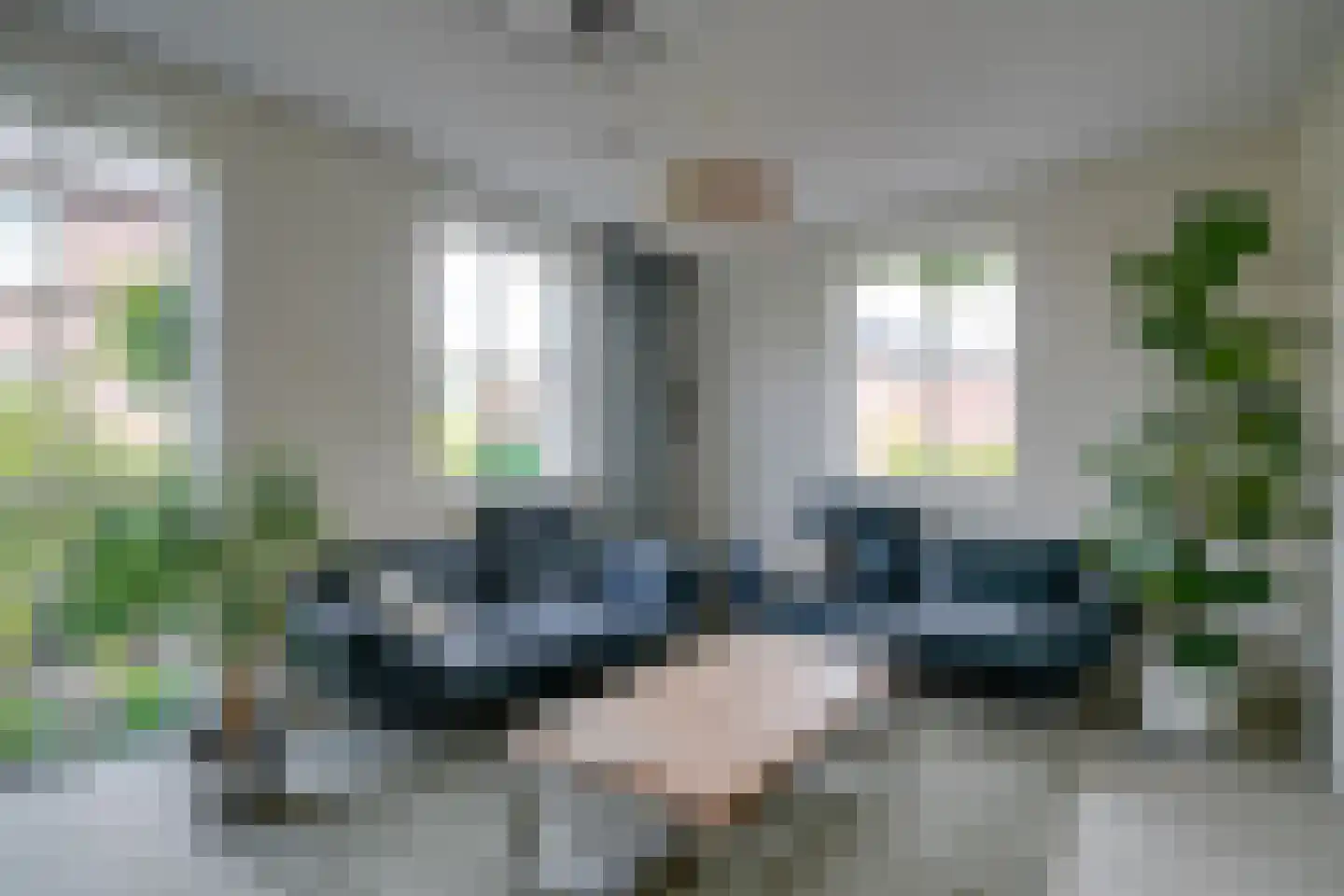 Ter Borch 1 Odijk thumbnail 10