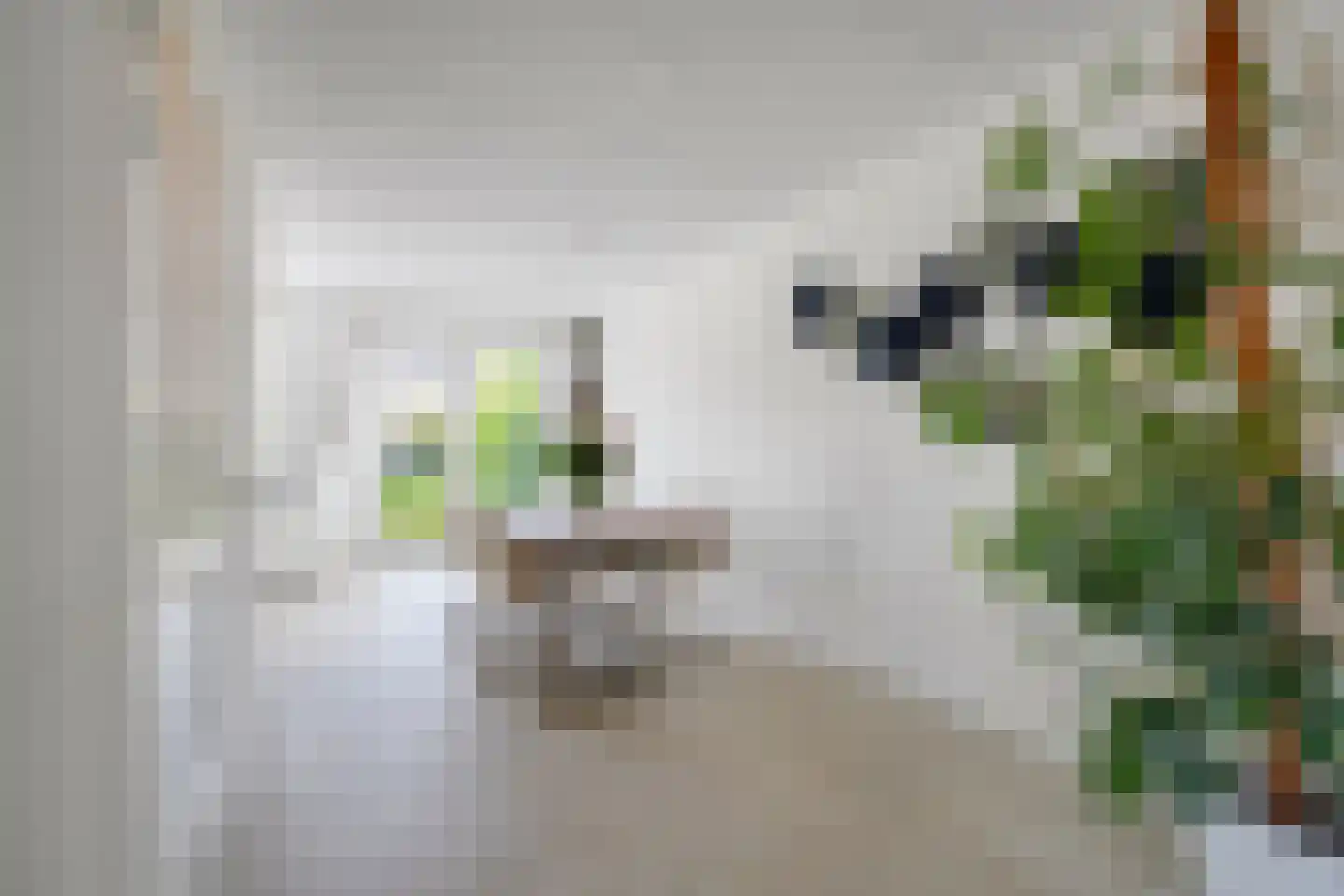 Ter Borch 1 Odijk thumbnail 12