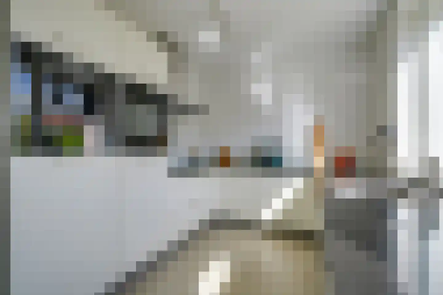 Ter Borch 1 Odijk thumbnail 14
