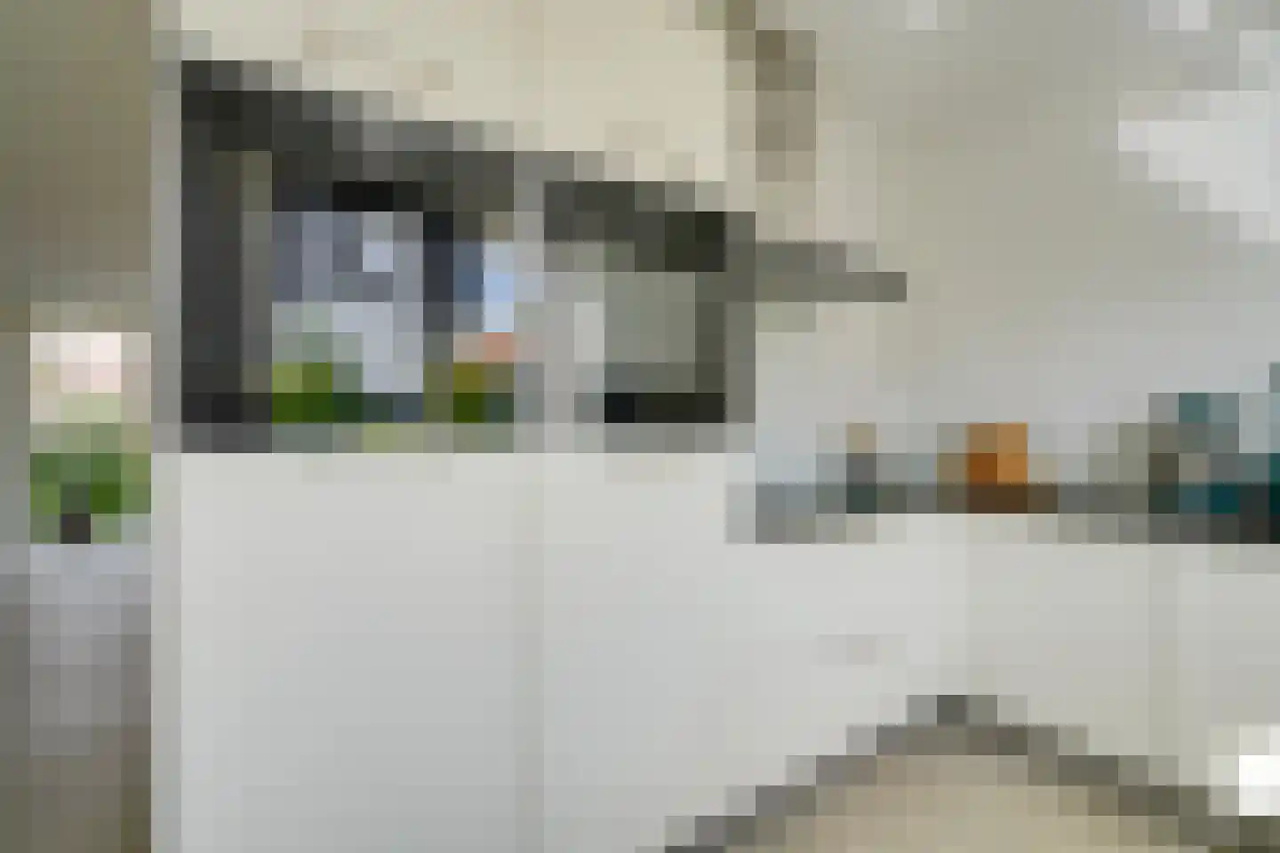 Ter Borch 1 Odijk thumbnail 16