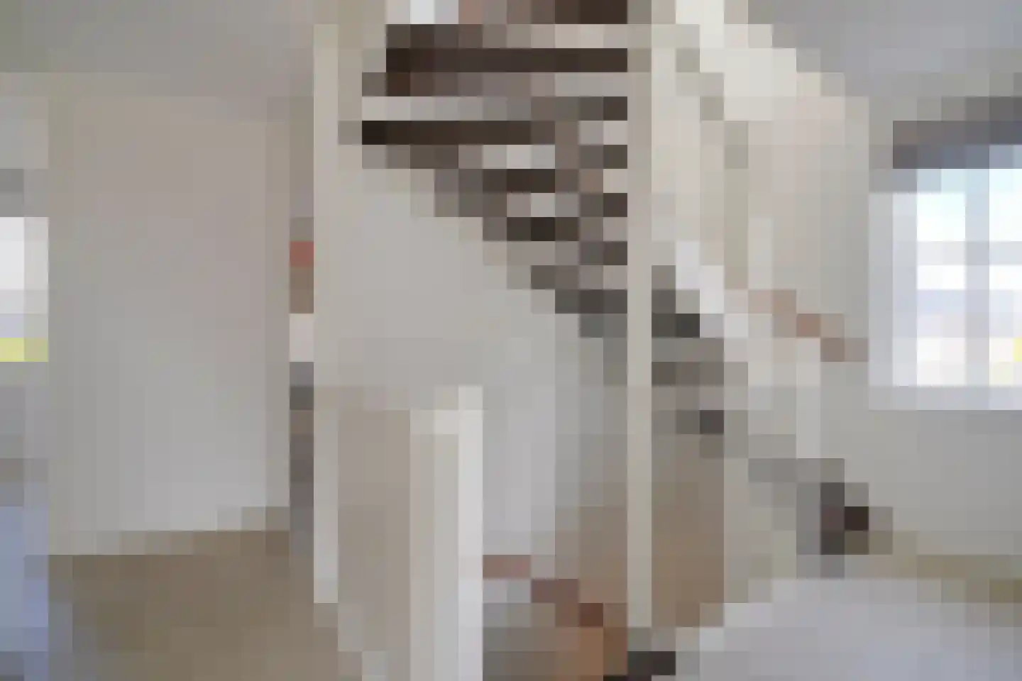 Ter Borch 1 Odijk thumbnail 18