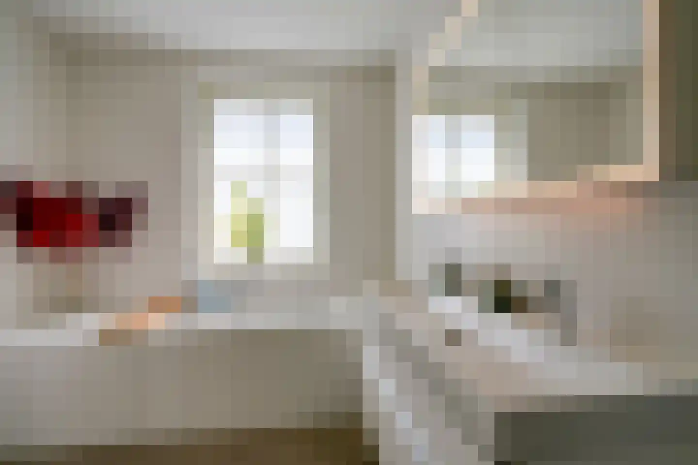 Ter Borch 1 Odijk thumbnail 27