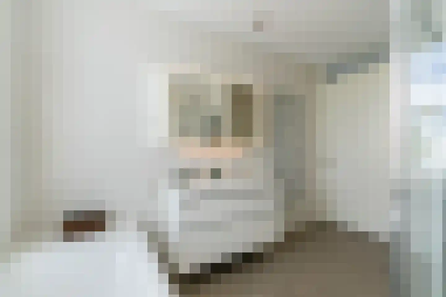 Ter Borch 1 Odijk thumbnail 29