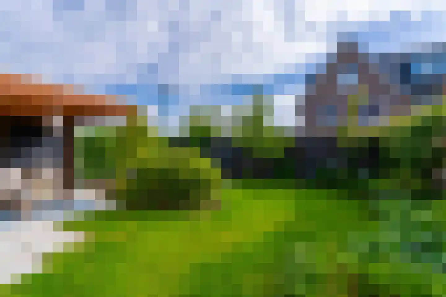Ter Borch 1 Odijk foto 3