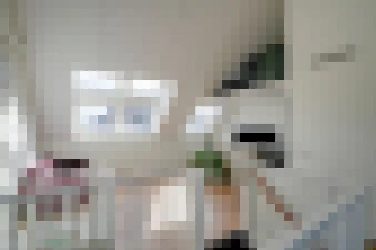 Ter Borch 1 Odijk thumbnail 30